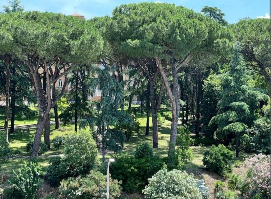 Casavalentina Pensión Roma